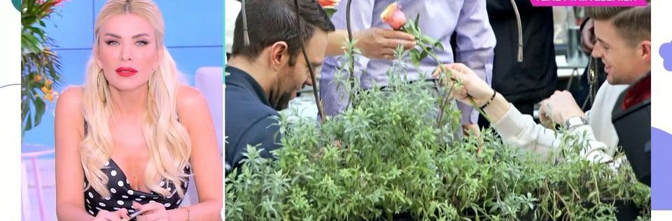 Στ. Κασσελάκης: Αγόρασε τριαντάφυλλο από πλανόδια πωλήτρια και το προσέφερε στον Τάιλερ – Δείτε βίντεο