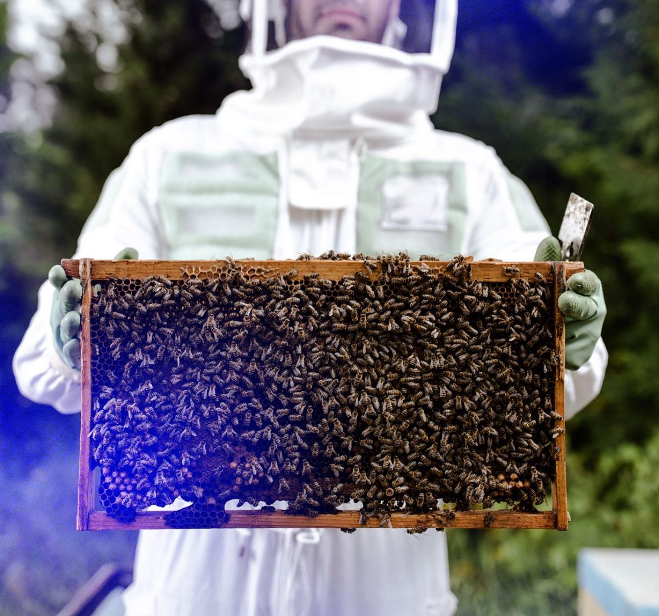 Hive₂O: Η κυψέλη της Θεσσαλονίκης βρίσκεται πλέον στη Παύλου Μελά! 