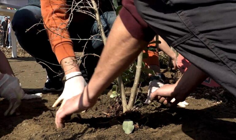 Θεσσαλονίκη: Δημιουργείται το πρώτο βρώσιμο δάσος μέσα σε αστικό περιβάλλον (Video)