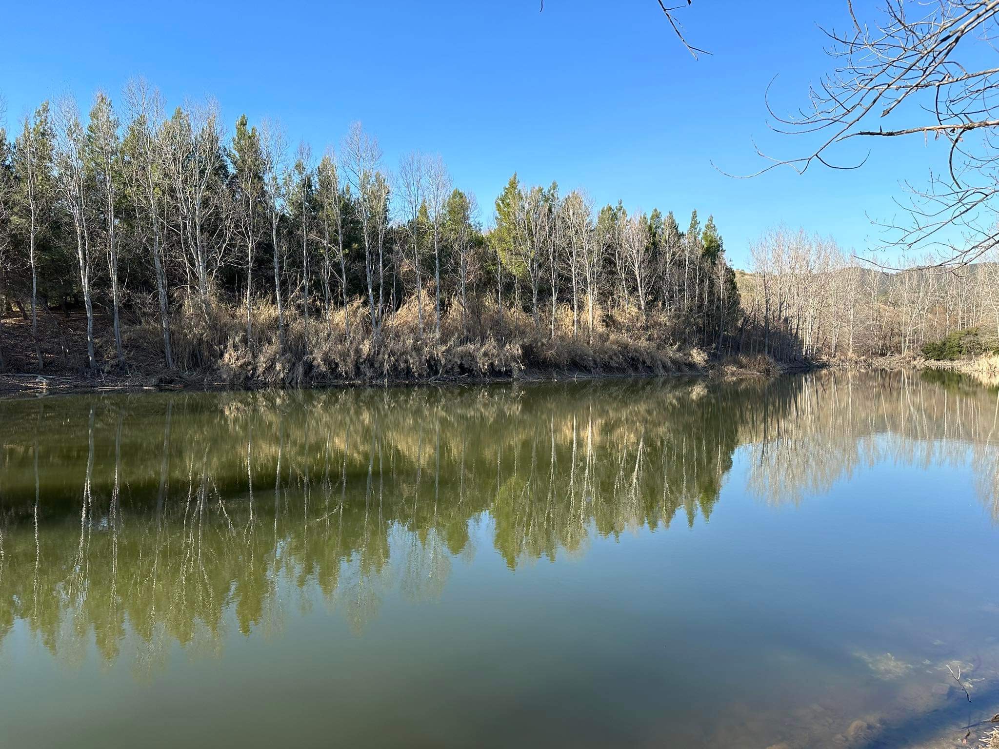 Λίμνη Ωραιοκάστρου: Ένας μικρός κρυμμένος παράδεισος στη Θεσσαλονίκη