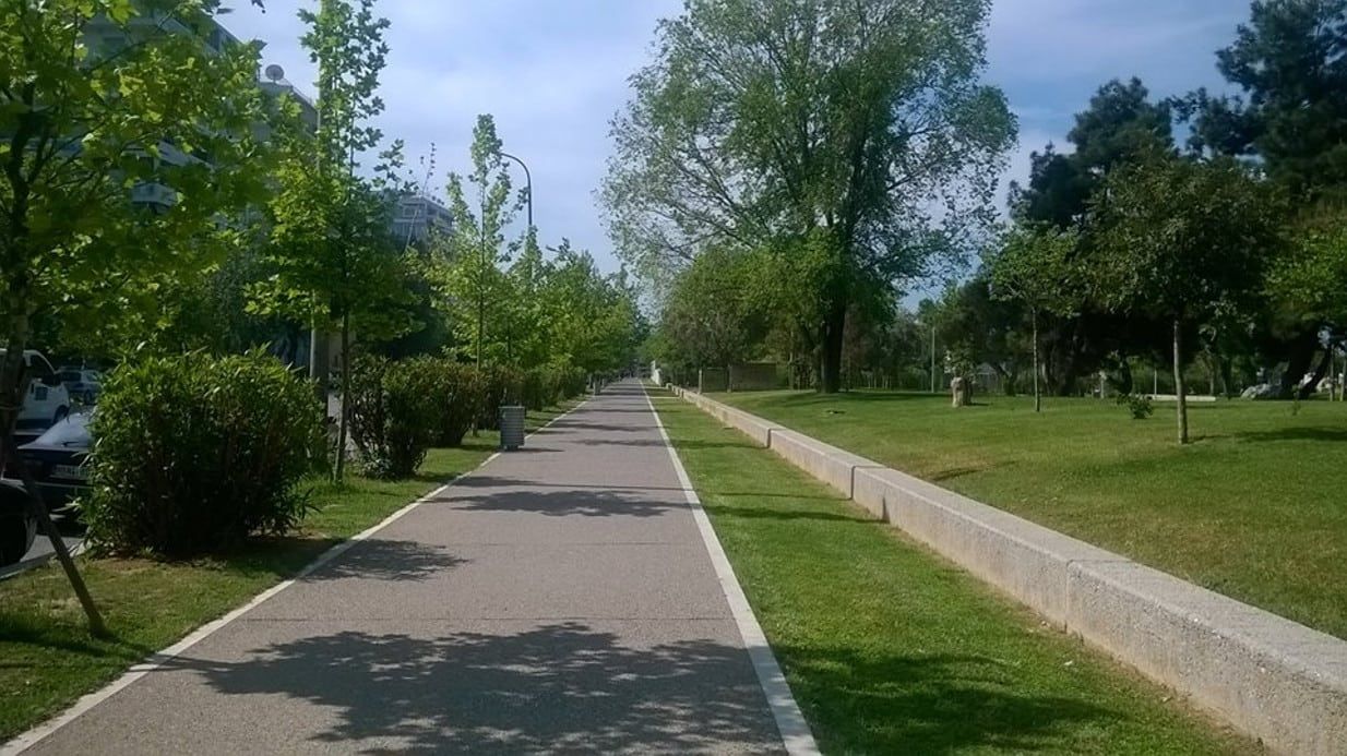 Τα δέντρα πεθαίνουν όρθια: Bακτήριο «σκοτώνει» ελιές, κερασιές και αμυγδαλιές