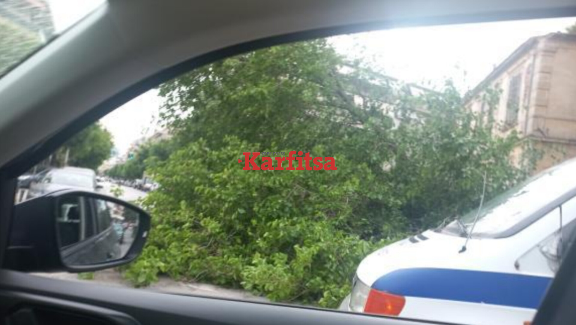 Θεσσαλονίκη: Έπεσε μεγάλο δέντρο σε δρόμο – Έντρομοι οι οδηγοί