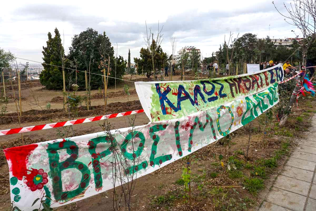 Θεσσαλονίκη: Οι πρώτοι καρποί του βρώσιμου δάσους στον Δήμο Νεάπολης-Συκεών