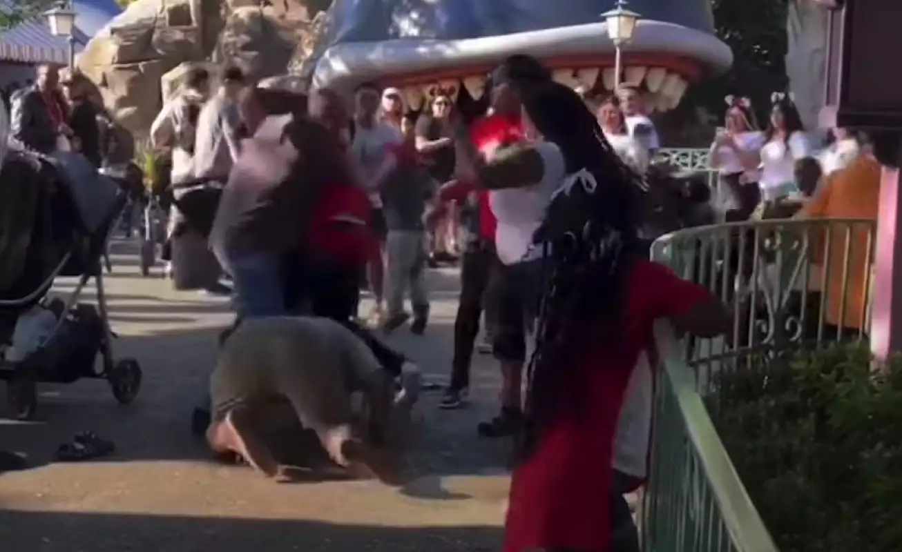 Ομηρικό ξύλο μεταξύ μαμάδων στην Disneyland – Τα παιδιά τις έβλεπαν σαστισμένα (Video)