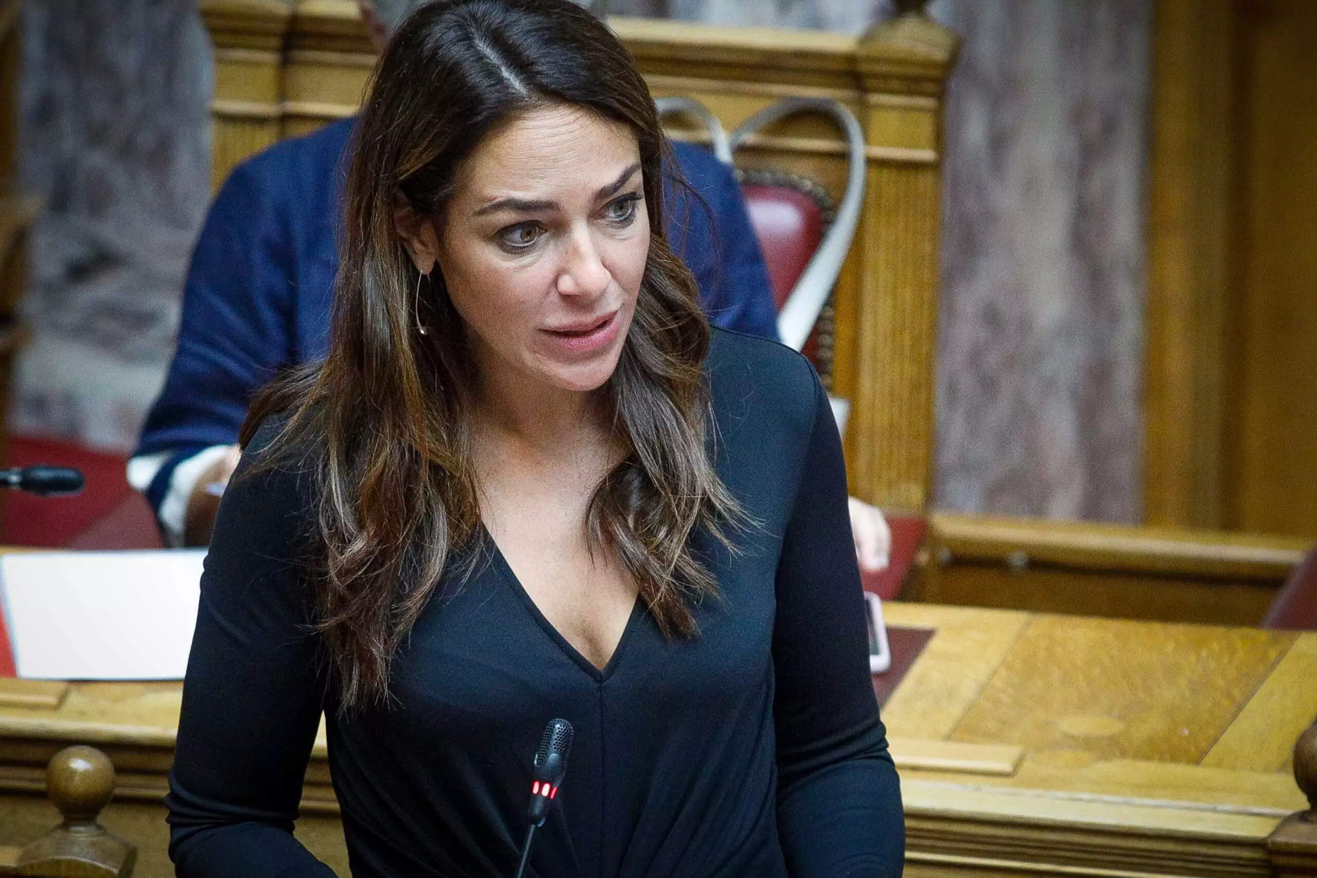 Δόμνα Μιχαηλίδου: «Βάζουμε τέλος στην ταλαιπωρία των ανάπηρων συμπολιτών μας»