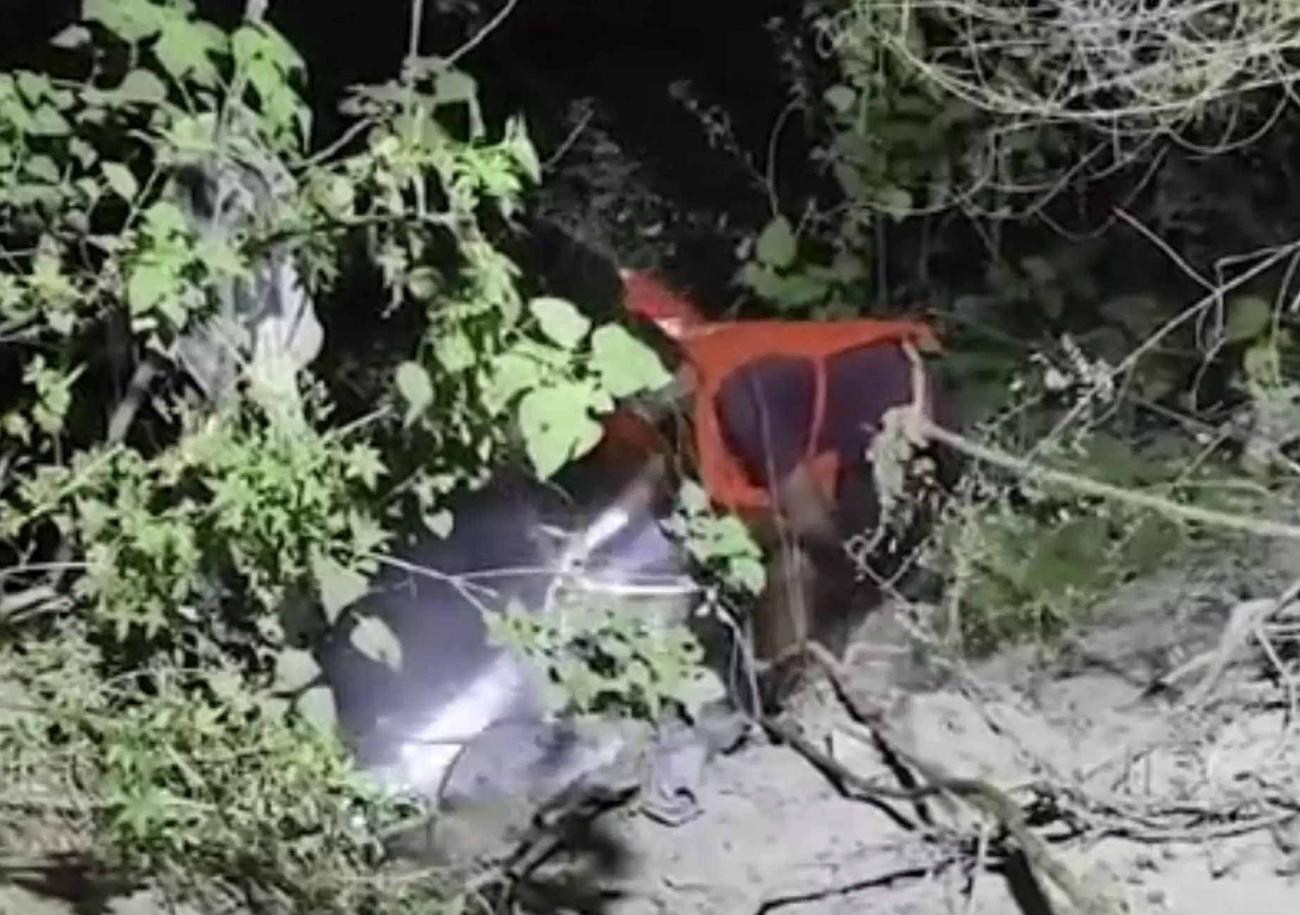 Ινδία: Μάνα έριξε τον κωφάλαλο γιο της σε ποτάμι με κροκόδειλους, «σκότωσε τον, μόνο τρώει» της έλεγε ο πατέρας του