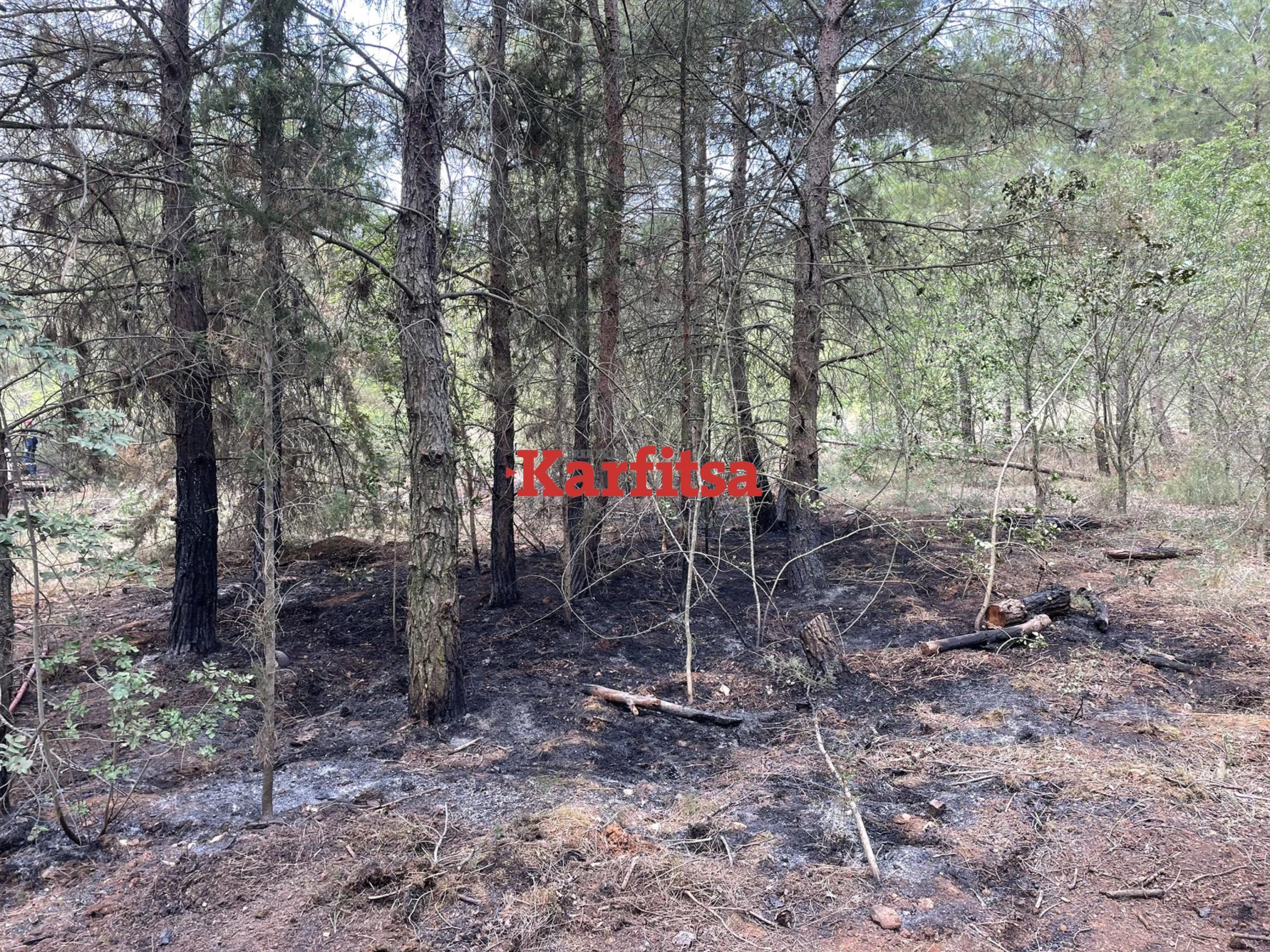 Θεσσαλονίκη: Συνελήφθη 25χρονος για την φωτιά του Σέιχ Σου – Βρέθηκαν πάνω του πευκοβελόνες και αναπτήρας (ΦΩΤΟ)