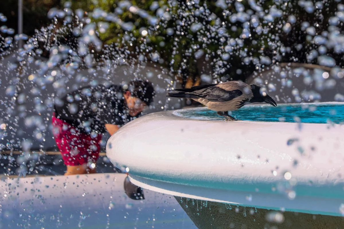 Καιρός: Πρόβλεψη για θερμοκρασία 43 βαθμών την Τετάρτη – Έκτακτο δελτίο από την ΕΜΥ