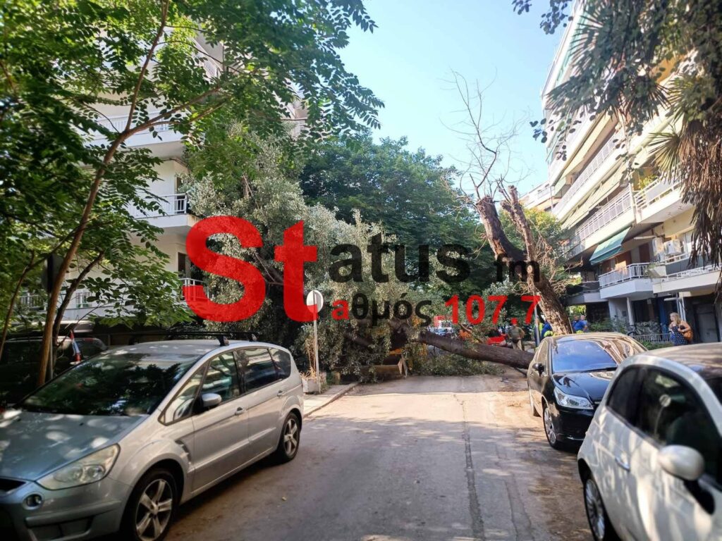 Θεσσαλονίκη: Έπεσε μεγάλο δέντρο κοντά στη Σοφούλη (ΦΩΤΟ+Video)