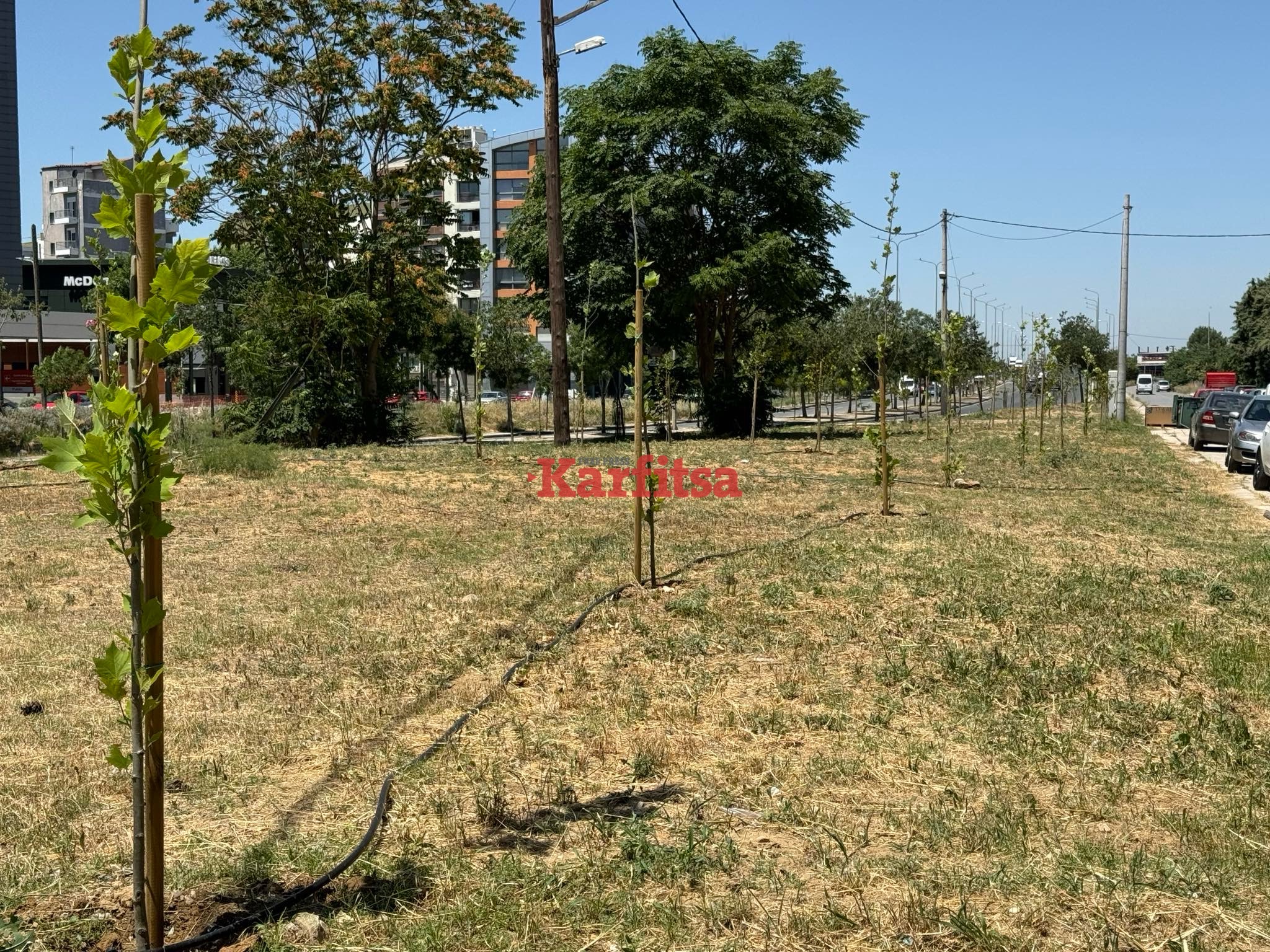 Θεσσαλονίκη: Ένας πρώην μπαζότοπος ….μεταμορφώθηκε σε αλσύλλιο (ΦΩΤΟ+Video)