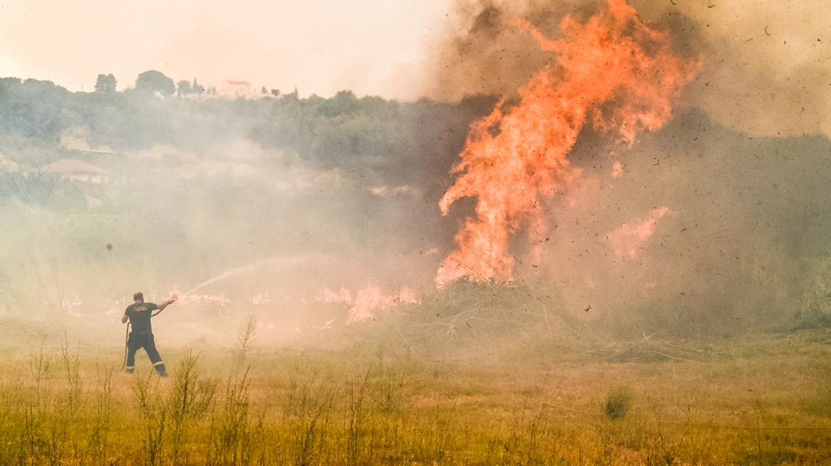 Φωτιές στην Ηλεία: Προϊόν εμπρησμού, λέει ο δήμαρχος Πύργου (Video)