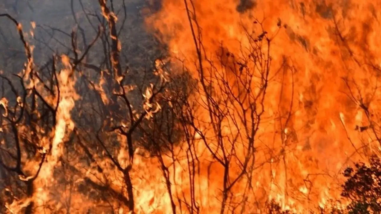 Νεκρός 55χρονος στην Ηλεία – Πήγε να βοηθήσει στην κατάσβεση της φωτιάς