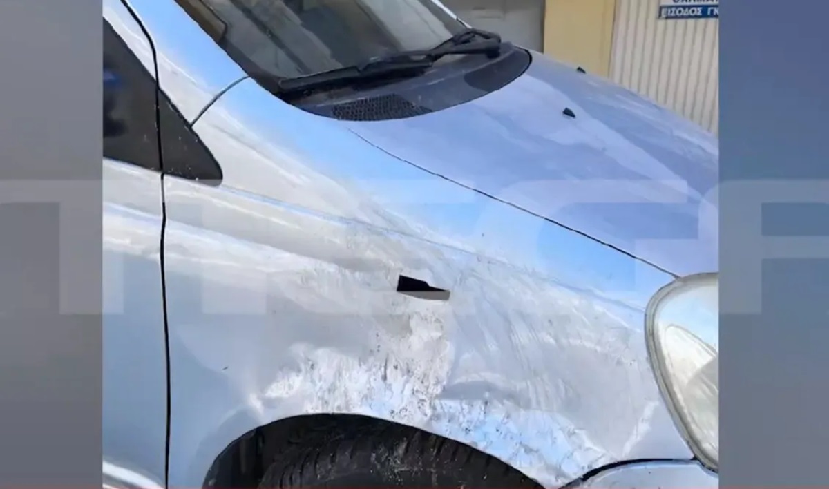 Χαλκιδική: Σκύλοι ρήμαξαν όχημα – «Όταν είδαμε το βίντεο, δεν το πιστεύαμε» (VIDEO)