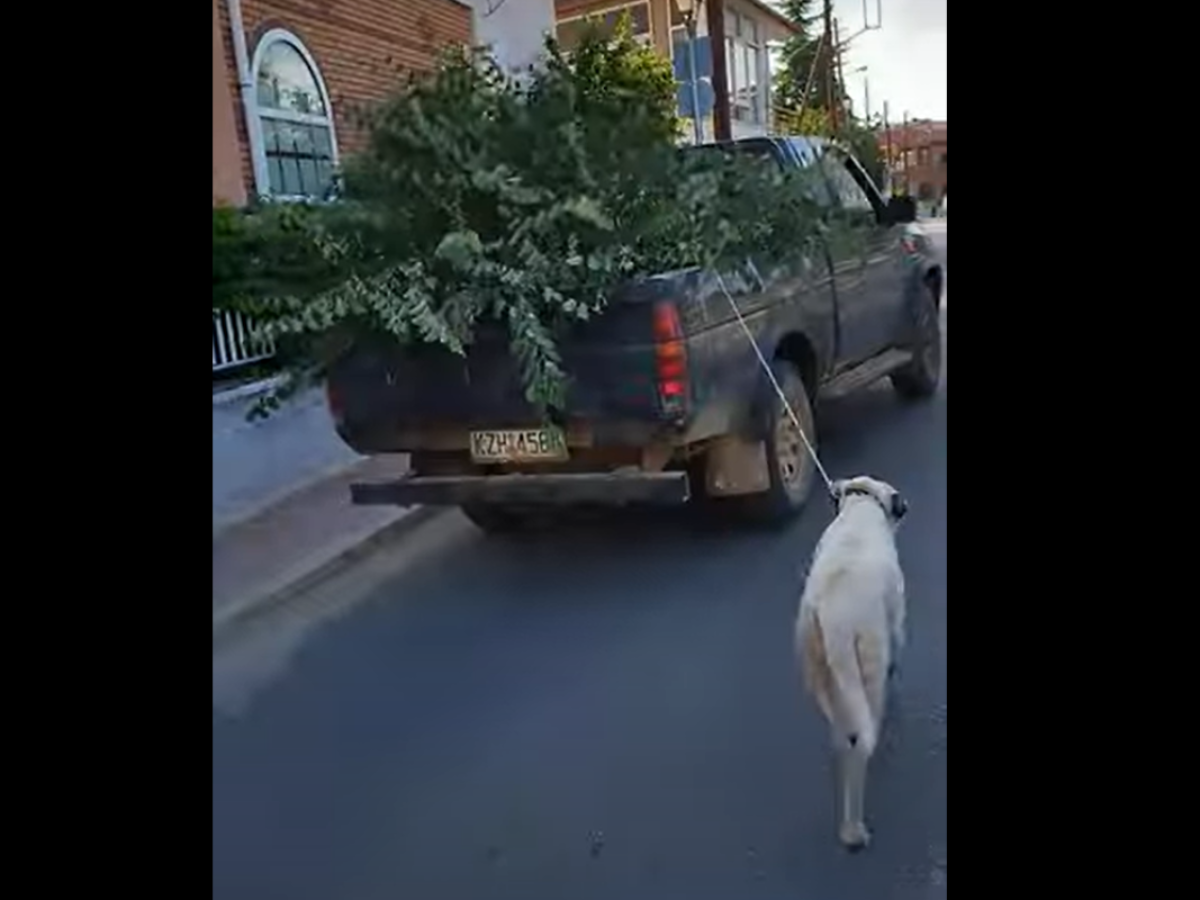 Κοζάνη: Ηλικιωμένος έδεσε το σκύλο του με ένα σχοινί και τον έσερνε με το φορτηγάκι του (Video)