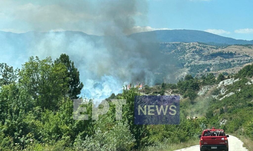 Καστοριά: Πυρκαγιά σε δασική έκταση έξω από το χωριό Μελάνθιο – Αναζητείται ύποπτο όχημα (Video)