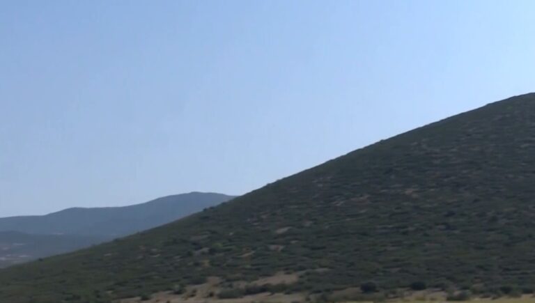 Θεσσαλονίκη:  Μία από τις μεγαλύτερες αναδασώσεις πανελλαδικά στον δήμο Θέρμης – Αφορά 3.560 στρέμματα (Video)