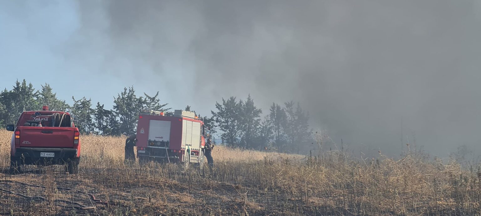 Θεσσαλονίκη: Φωτιά ξέσπασε στη Νέα Μηχανιώνα – Στη μάχη ένα ελικόπτερο (ΦΩΤΟ+Video)