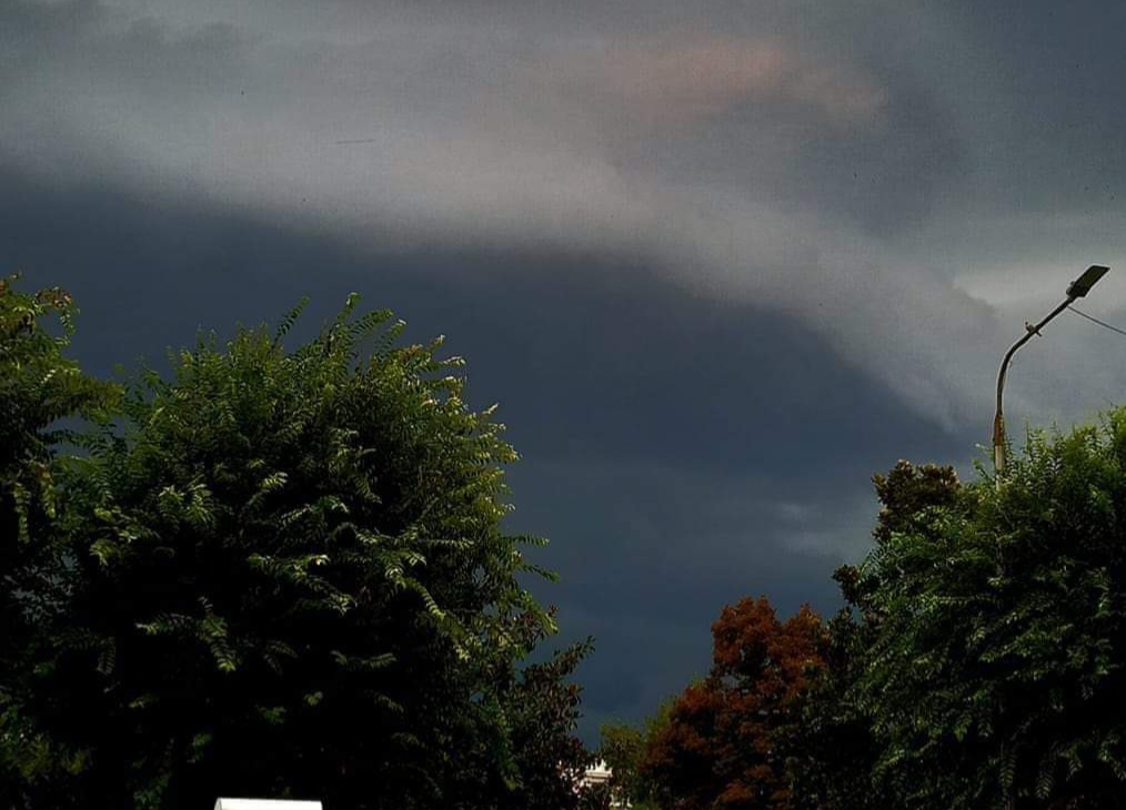 Θεσσαλονίκη: Κακοκαιρία, άνεμοι και πτώσεις δέντρων (Video)