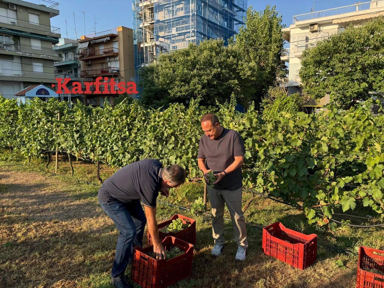 Στην υγειά ποιου πρώην δημάρχου θα πιει το πρώτο ποτήρι κρασί του αστικού αμπελώνα ο Στ. Αγγελούδης