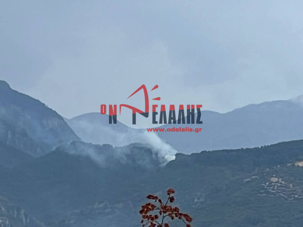 Φωτιά στον Όλυμπο – Εναέριες δυνάμεις στο σημείο
