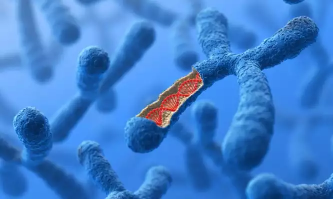 Ολυμπιακοί Αγώνες: Τι πρέπει να ξέρουμε για τα χρωμοσώματα μετά το σάλο με τις intersex αθλήτριες