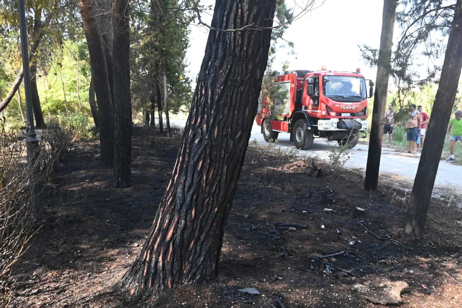 Λιτόχωρο: Δυο προσαγωγές για τη φωτιά, παραμένει η πυροσβεστική στο σημείο