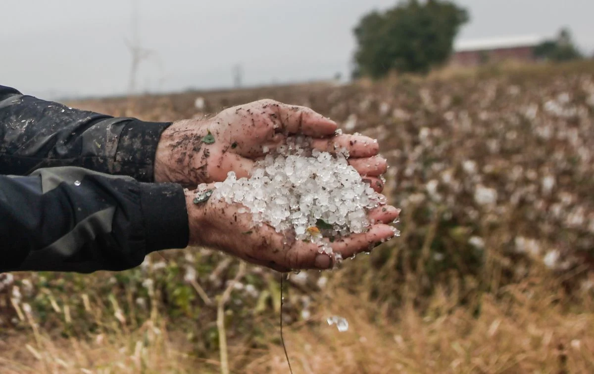 Καστοριά: Ξαφνικό καλοκαιρινό μπουρίνι με έντονη βροχόπτωση και χαλάζι  