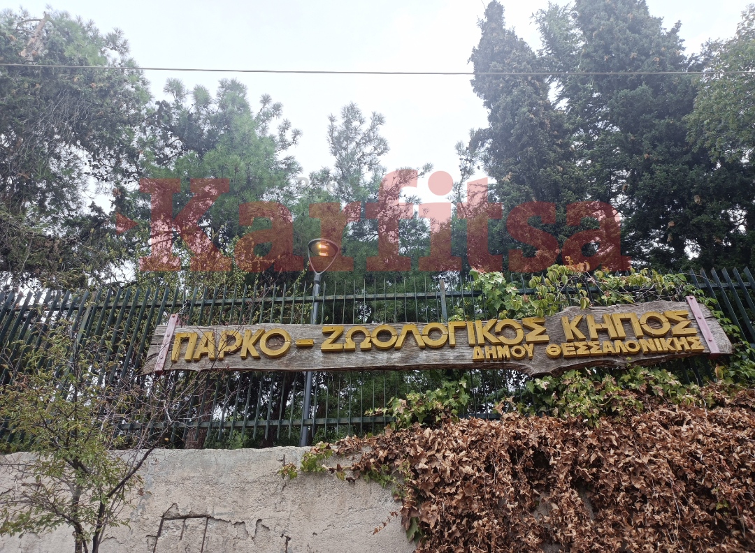 Θεσσαλονίκη: Μια ματιά στον ζωολογικό κήπο της πόλης – Τα σχέδια για την ανάπλασή του (ΦΩΤΟ)