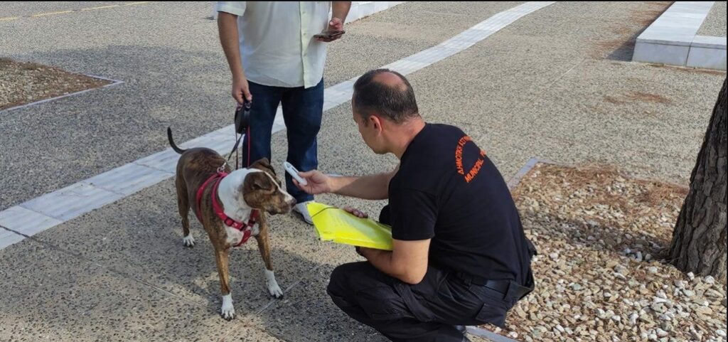Θεσσαλονίκη: Δεκάδες πρόστιμα σε ιδιοκτήτες δεσποζόμενων ζώων