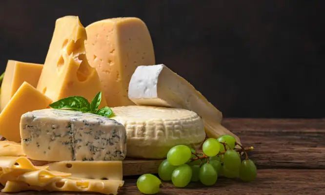 Πόσα και τι είδους γαλακτοκομικά πρέπει να τρώμε την ημέρα, σύμφωνα με έναν καθηγητή του Tufts