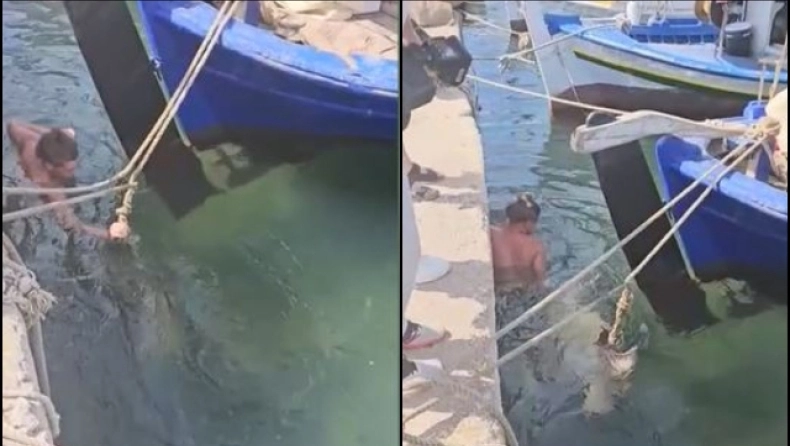 Χελώνα διέκοψε γυρίσματα ερωτικής ταινίας: Δάγκωσε πορνοστάρ στα οπίσθια που πήγε να την σώσει (Video)