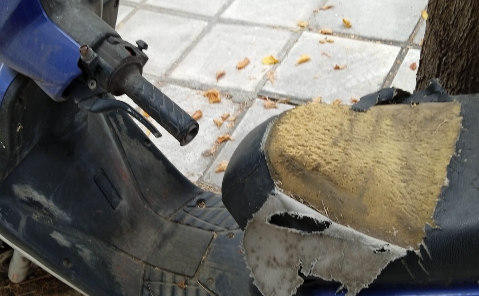 Θεσσαλονίκη: Δίκυκλο σε αποσύνθεση – «Είναι τρία χρόνια στο ίδιο σημείο»