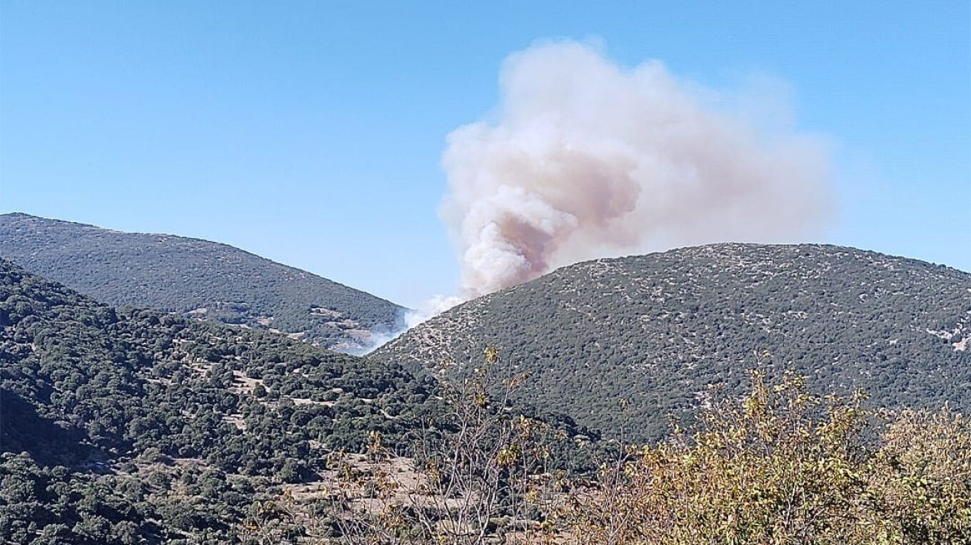 Φωτιά στην Αγία Παρασκευή Πετρωτού Αχαΐας – Σηκώθηκαν και εναέρια μέσα (ΦΩΤΟ)