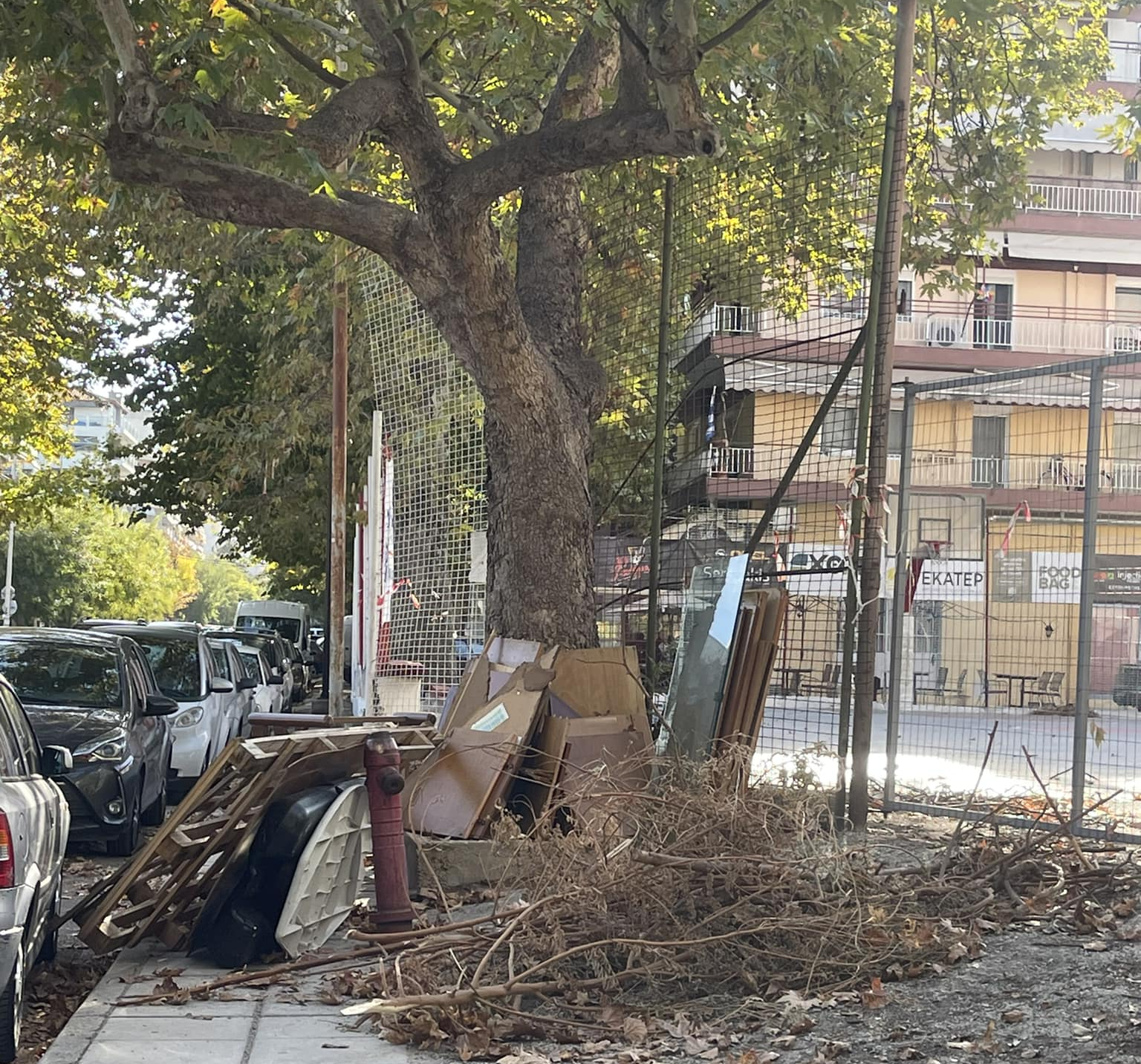 Θεσσαλονίκη: «Φύτρωσαν» έπιπλα κάτω από δέντρο (ΦΩΤΟ)