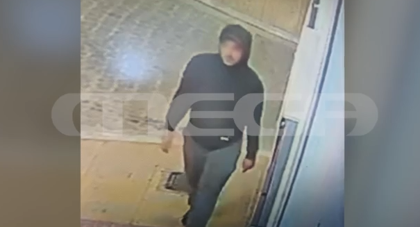 Βόλος: Προφυλακίστηκε ο serial killer - Παραδέχεται ότι κατακρεούργησε τον σκύλο και μία γάτα