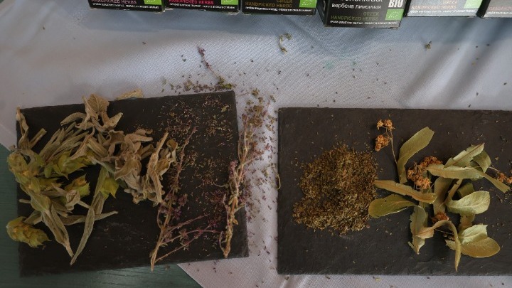 Μυρωδιές από βότανα και μπαχαρικά «πλημμύρισαν» το δημαρχείο Θεσσαλονίκης