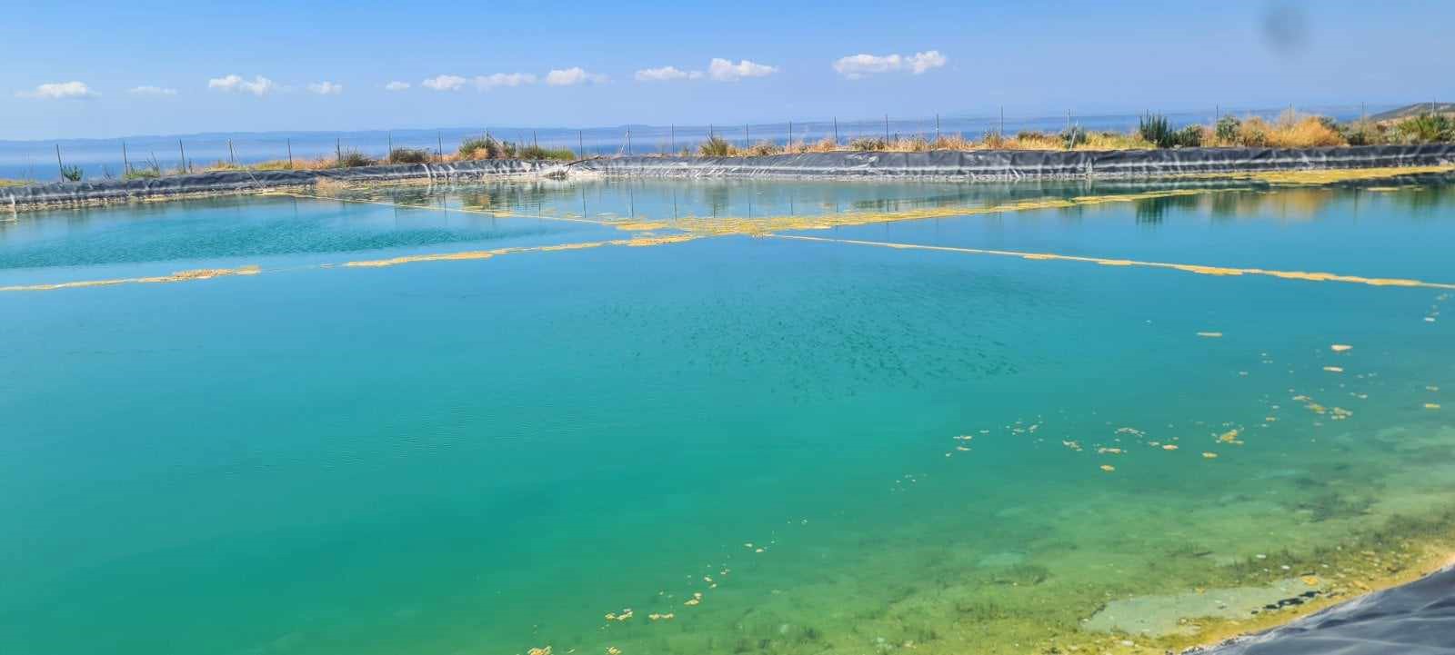 Εδώ Χαλκιδική: Η λειψυδρία στη Σιθωνία δεν αγγίζει τον πρώην δήμαρχο Ι. Τζίτζιο.