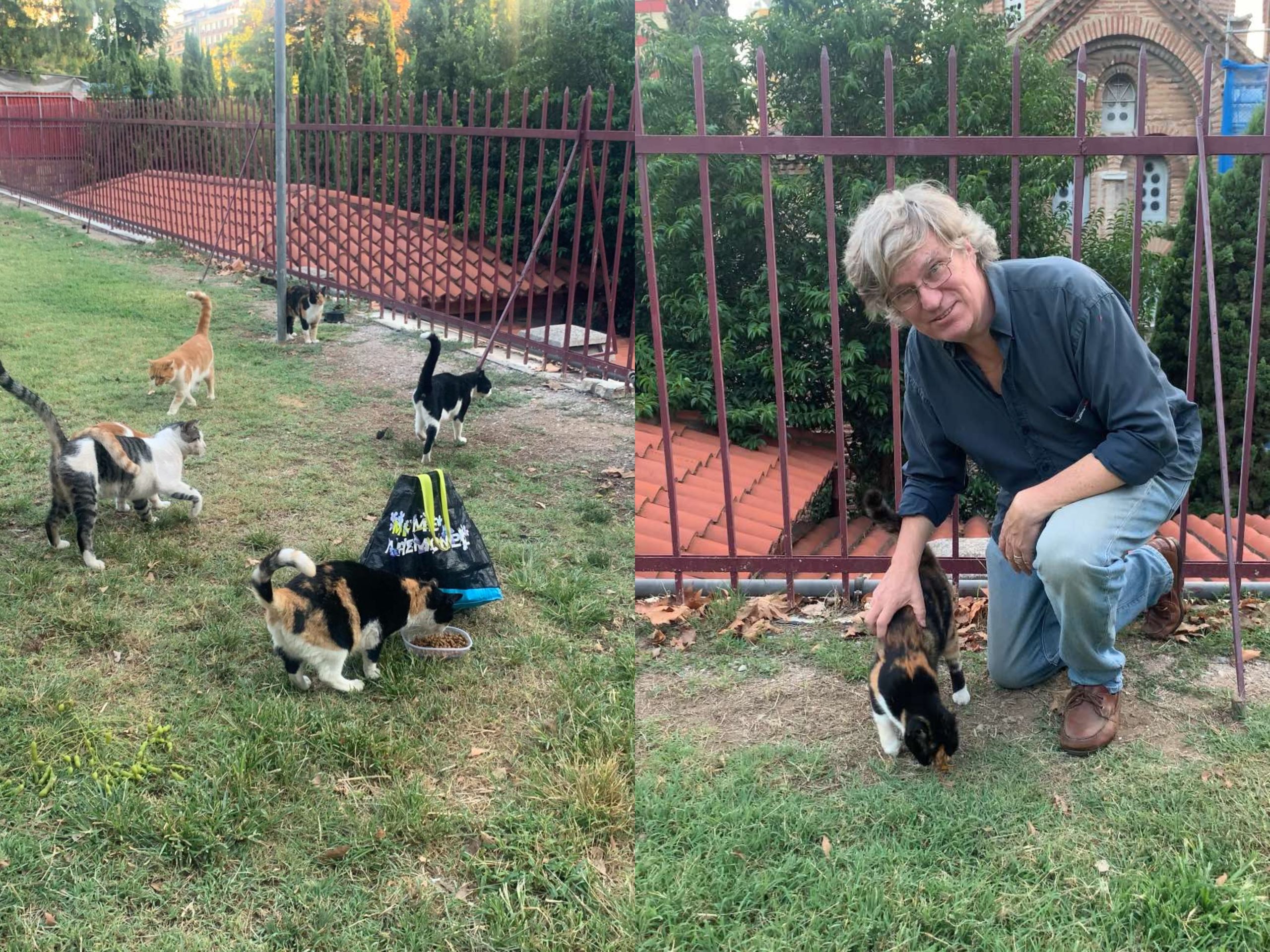 Από τον Παναμά στη Θεσσαλονίκη – Francoise και Daniel, το ζευγάρι από το εξωτερικό που είναι οι προστάτες των γατών της Χαλκέως