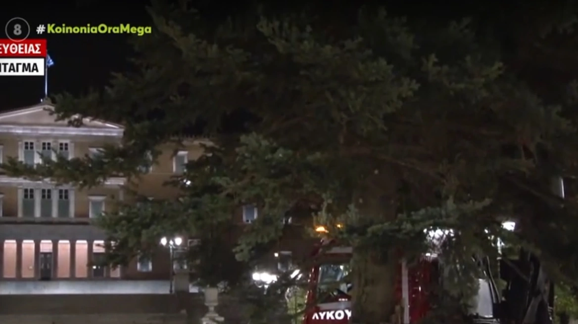 Aπό τον Ταξιάρχη Χαλκιδικής στο Σύνταγμα – Το εντυπωσιακό 19,5 μέτρων  χριστουγεννιάτικο δέντρο (Video)