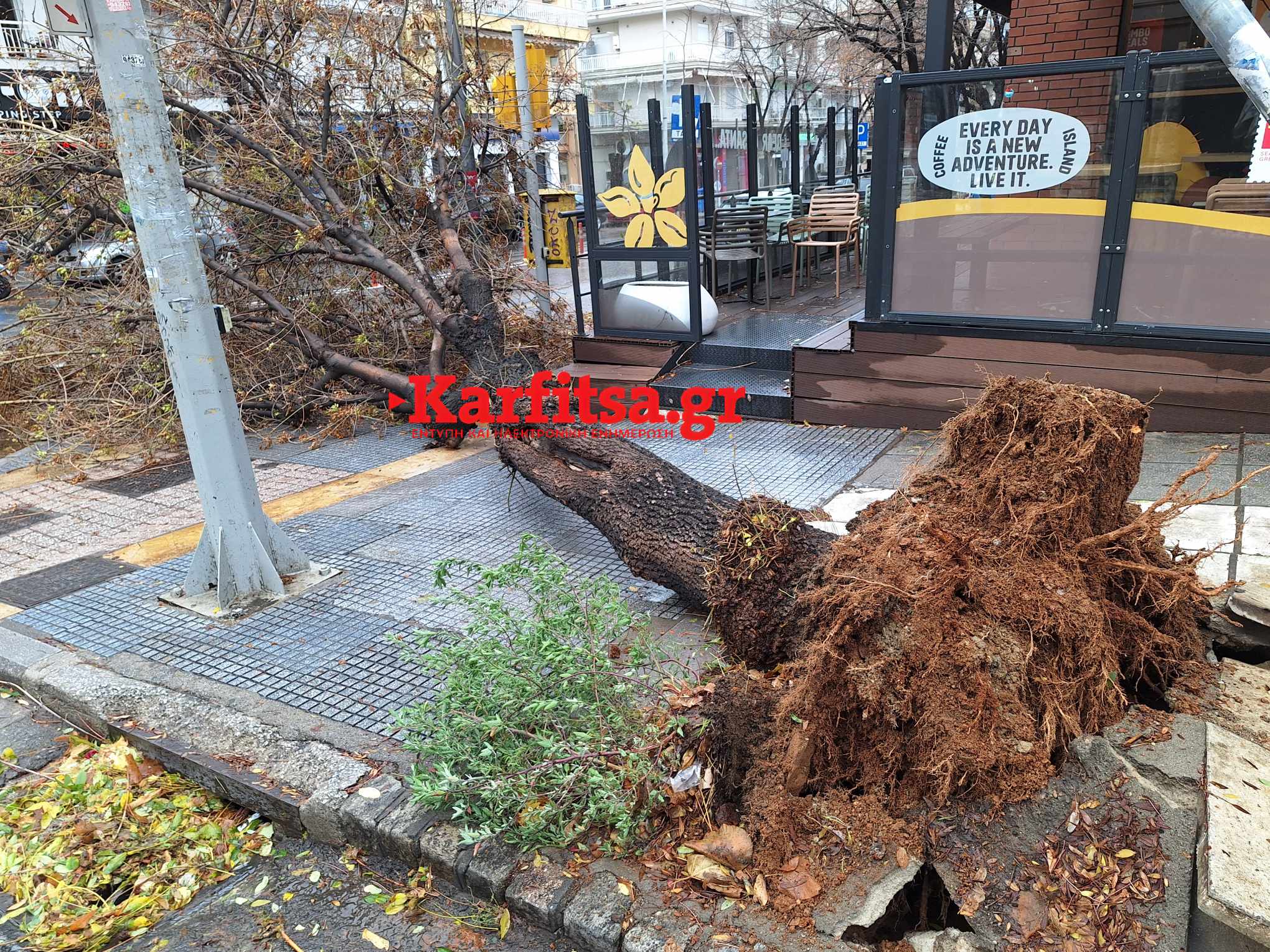 ΤΩΡΑ-Κακοκαιρία Bora: Έκλεισαν δρόμοι στη Θεσσαλονίκη! (ΦΩΤΟ)