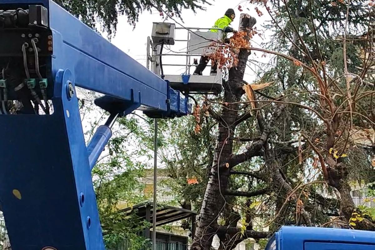 Θεσσαλονίκη: Στους δρόμους Πολιτική Προστασία, Καθαριότητα και Πράσινο στον δήμο Νεάπολης-Συκεών (ΦΩΤΟ)