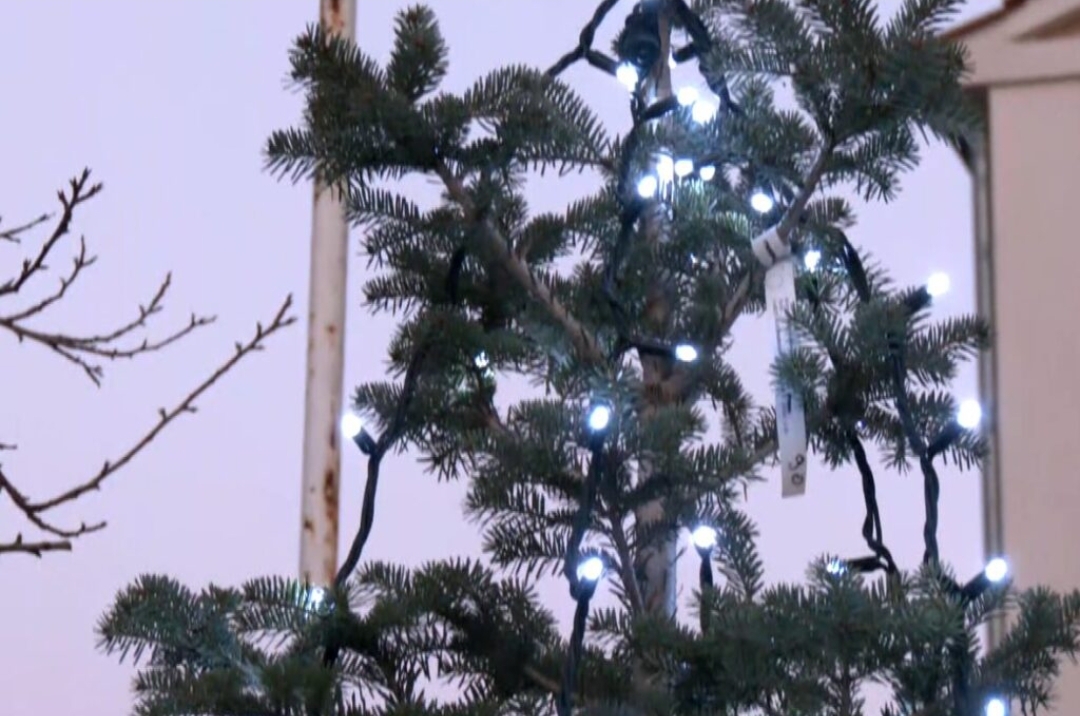 Κριός Έβρου: Ένα χωριό με επτά κατοίκους- Μετά από δεκαετίες φωταγωγήθηκε το χριστουγεννιάτικο δέντρο