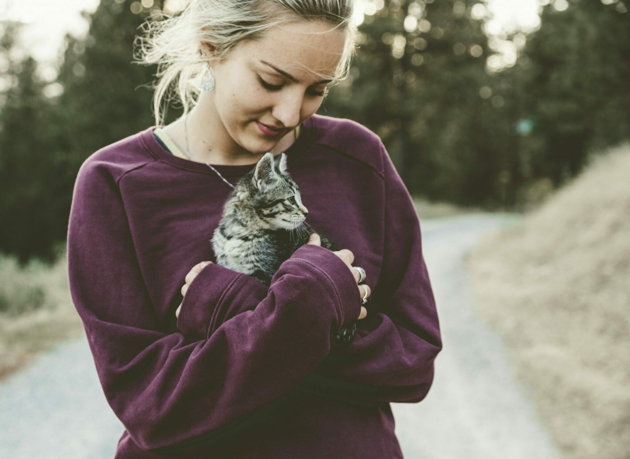 Τι πρέπει να γνωρίζετε αν θέλετε να υιοθετήσετε μια γάτα που έχει κακοποιηθεί