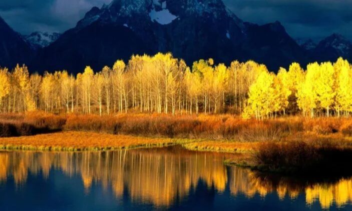 Το παλαιότερο ζωντανό πλάσμα στη Γη βρέθηκε: Είναι 80.000 ετών και εξακολουθεί να αναπτύσσεται