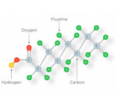 Βακτήριο F11: Η νέα ελπίδα στη μάχη κατά των τοξικών PFAS