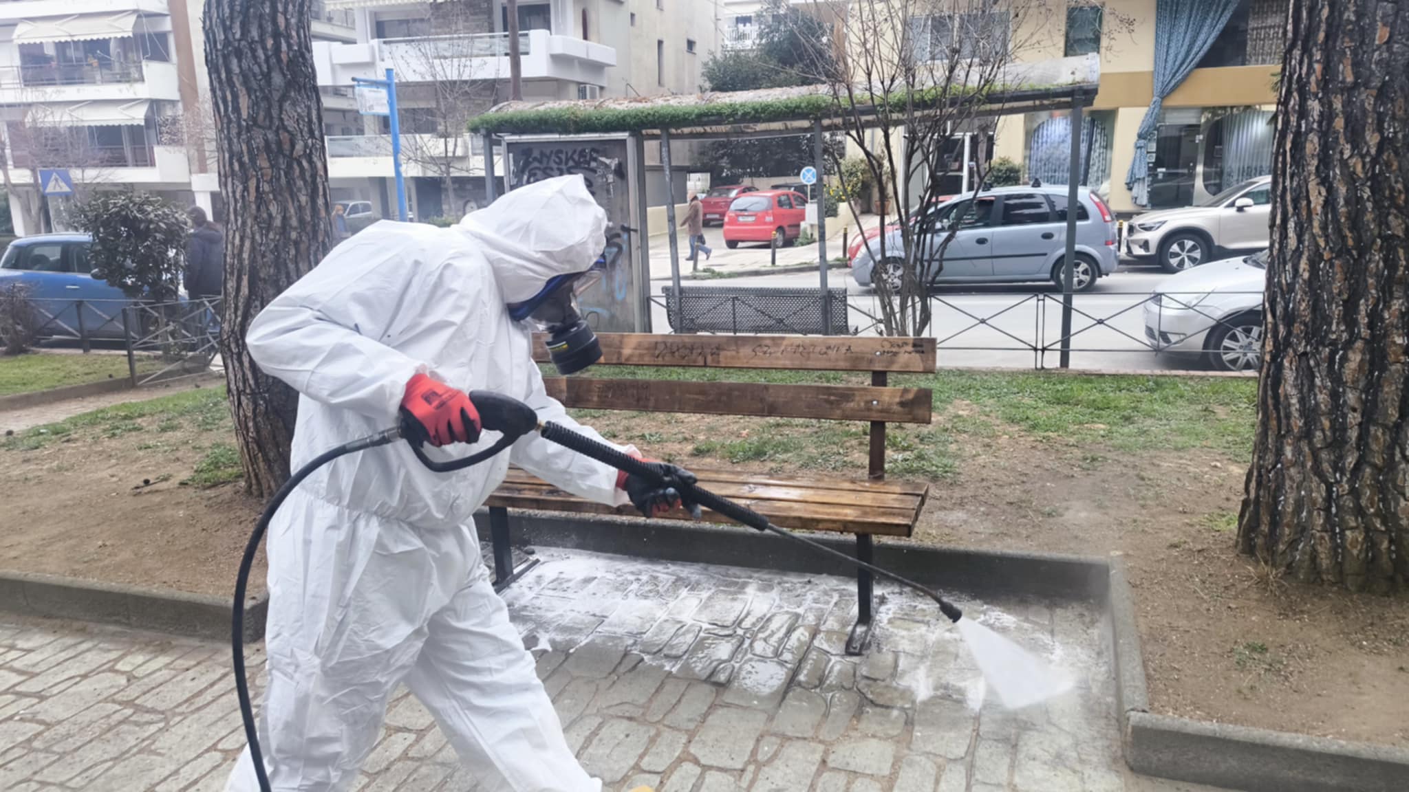 Θεσσαλονίκη: Εικόνες ντροπής σε πάρκο της Καλαμαριάς – Τοποθέτησαν νεκρά ζώα σε παγκάκια (ΦΩΤΟ)