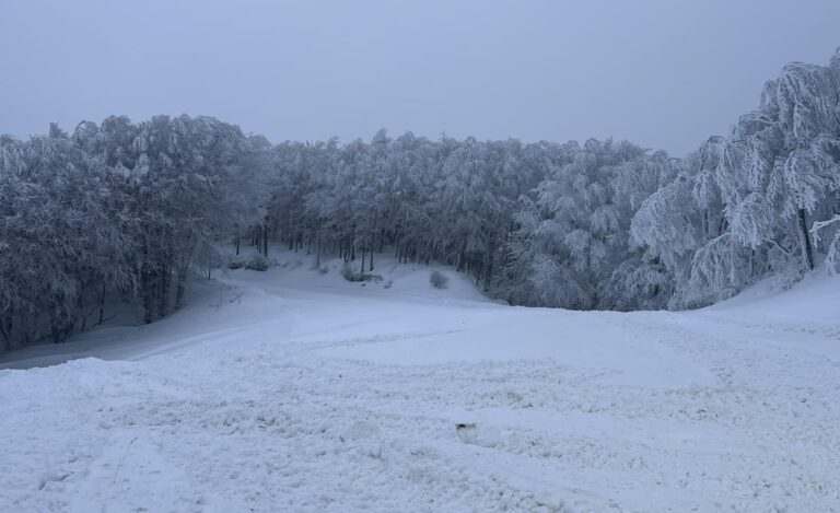 Κατάλευκο το Χιονοδρομικό Κέντρο Πηλίου – Με πόσους πόντους χιονιού άνοιξε