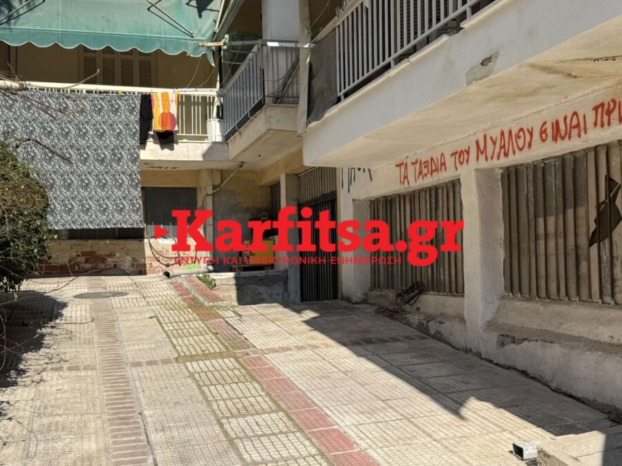 Θεσσαλονίκη: Φρίκη για τον θάνατο αδέσποτων γατών - Τι αναφέρει η γυναίκα που της φρόντιζε και ο Δήμος (ΦΩΤΟ+Video)