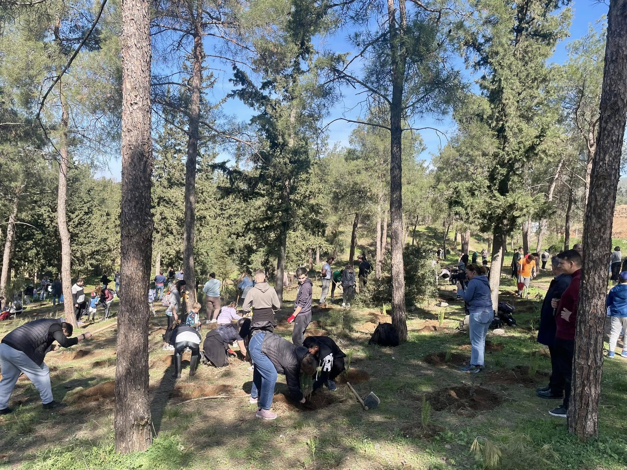 Θεσσαλονίκη: 1.500 νέα δέντρα φυτεύτηκαν στο περιαστικό δάσος της Τούμπας (ΦΩΤΟ)