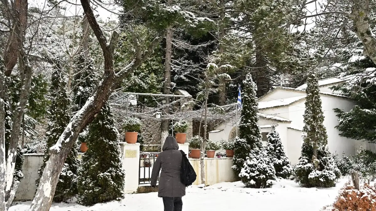 Καιρός αύριο: «Βουτιά» της θερμοκρασίας και χιόνια στα πεδινά